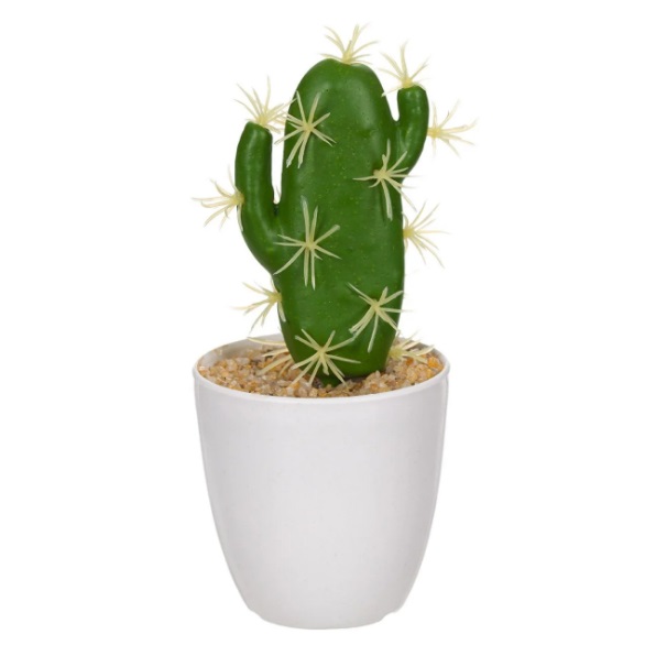 Fehér edény 16 cm-es kaktusszal