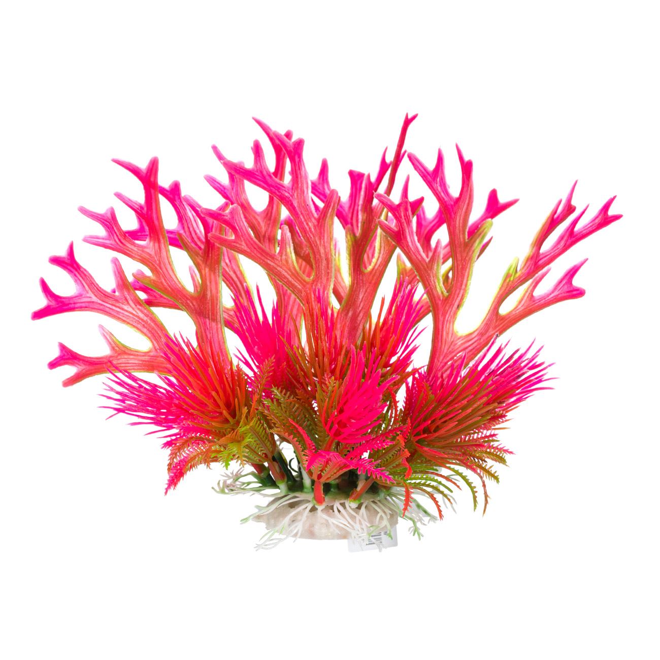 Akváriumi dekoratív növény Korall fukszia 10x19 cm