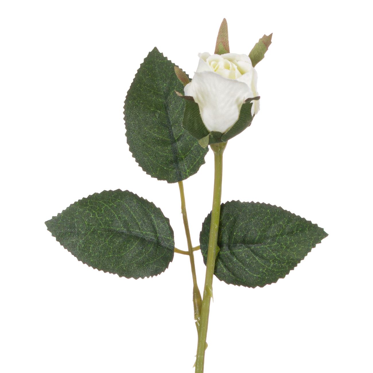 Fehér rózsa szál 25 cm 