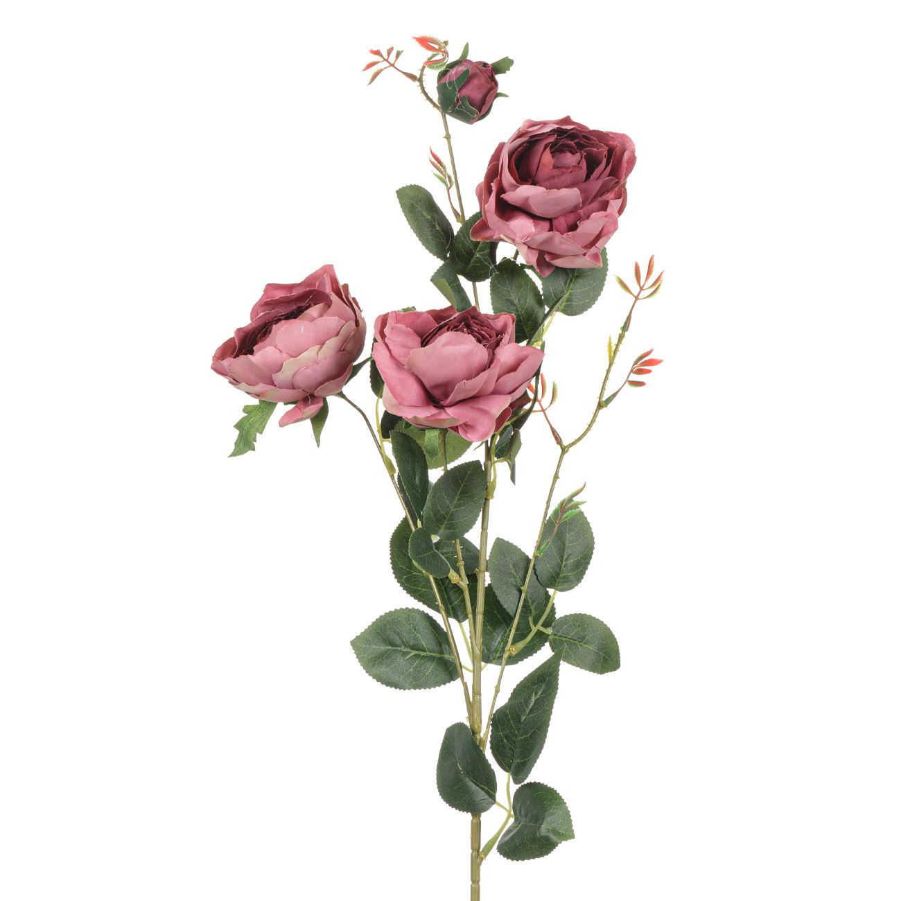 Virág Dekoratív Kőris Pink Rose 85 cm